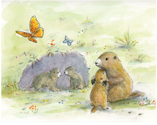 Le retour du printemps- Marmottes